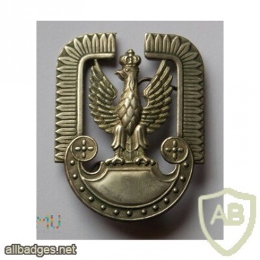 Polish Air Force and Air Defence current cap badge img26912