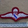 Thailand Border Patrol Police Basic paratrooper wings