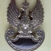 Polish Special Forces cap badge img26916