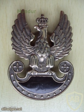 Polish Special Forces cap badge img26916