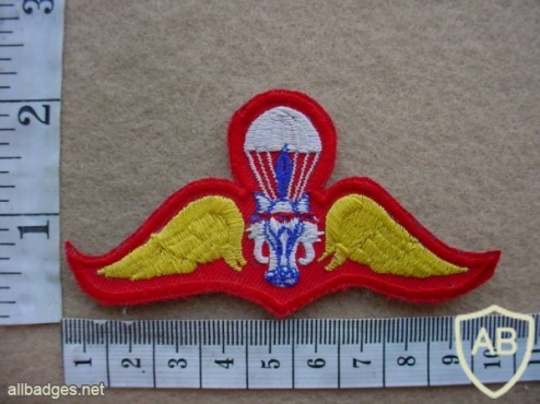 Thailand Army Basic paratrooper wings img26940