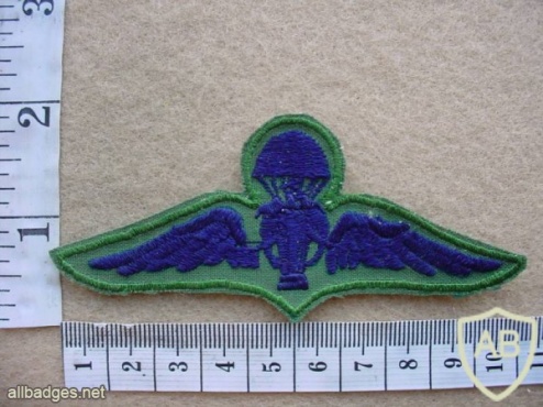 Thailand Army Basic paratrooper wings, subdued, combat dress img26941