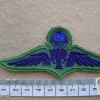 Thailand Army Master paratrooper wings, subdued, combat dress