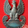 Polish Army current cap badge