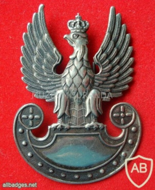 Polish Army current cap badge img26907