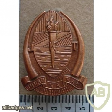 Tanzania Army cap badge, type 1 img26952
