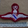 Thailand Border Patrol Police Master paratrooper wings