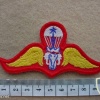 Thailand Army Senior paratrooper wings