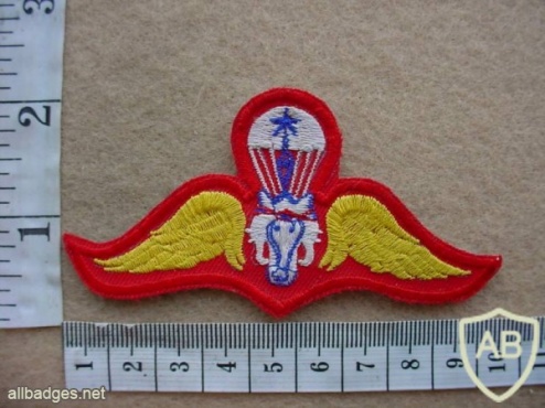 Thailand Army Senior paratrooper wings img26944