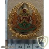 Transkei Prisons Service Warrant Officer rank badge img26927