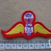 Thailand Army Master paratrooper wings