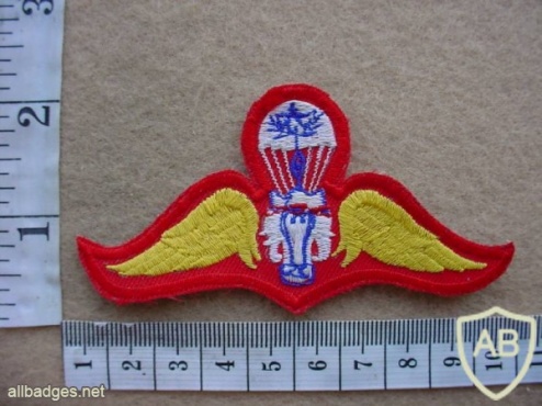 Thailand Army Master paratrooper wings img26942