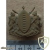 Transkei Defence Force collar badge