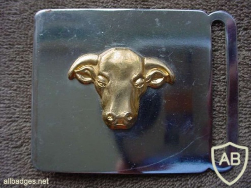 Transkei Army Officers stable belt buckle img26922