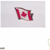 Canadian flag pin