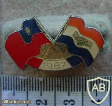 Taiwan and South African National flags lapel pin img26975