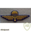 SWITZERLAND Parachutist Wings, dress uniform img26983