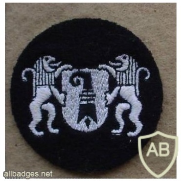 Swiss Town of Basel Fire Brigade beret badge img26985