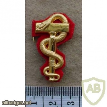 Swedish Army Dental Corps beret badge img26992