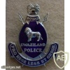 Royal Swaziland Police cap badge