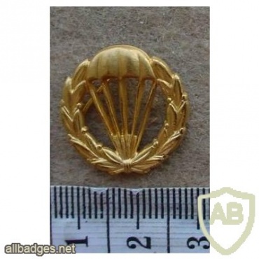 Sweden paratrooper shoulder strap badge, 2nd pattern img27007