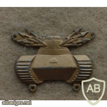 Swedish Armour collar badge img26999