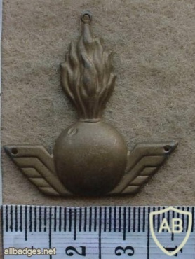 Swedish Anti-Aircraft Artillery collar badge img26998