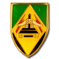 Armored Infantry Fir Company - 500th Brigade - Kfir Formation img26987