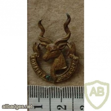 Somaliland Camel Corps collar badge img27026