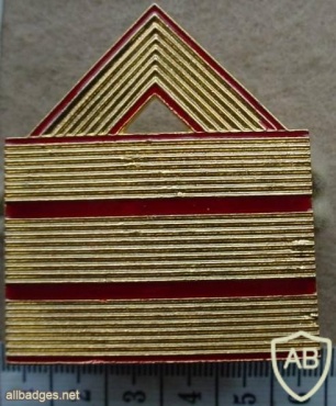 Spanish Army Sergeant 1st Class rank badge img27023