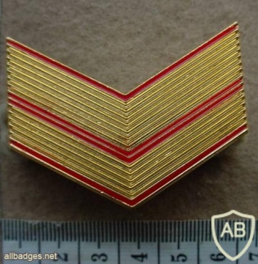 Spanish Army Chief Warrant Officer rank badge img27019