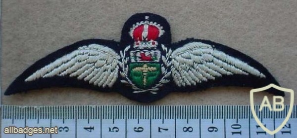 Rhodesian Air Force Pilot wings, King's crown img27112