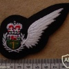 Royal Rhodesia Air Force Air Crew wing1