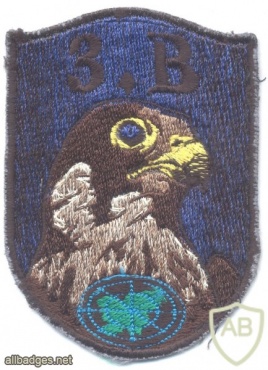 SLOVENIA Air Force 3rd Air Defense Battalion sleeve patch, subdued img27085