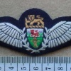 Rhodesian Air Force Pilot wings (FAKE)