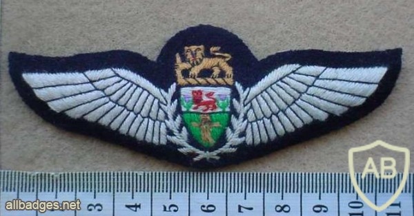 Rhodesian Air Force Pilot wings (FAKE) img27111