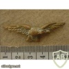 Southern Rhodesian Air Force Officers cap badge eagle, made by Ludlow London