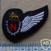 Rhodesian Air Force Navigator wing