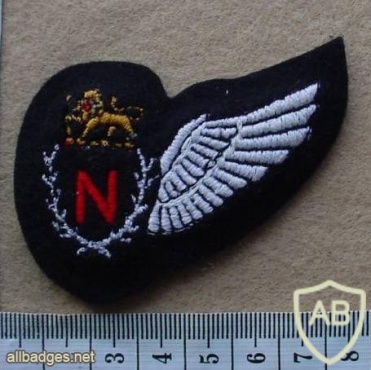 Rhodesian Air Force Navigator wing img27109