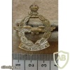 Royal Rhodesia Air Force Warrant Officers collar badge, Mess Dress