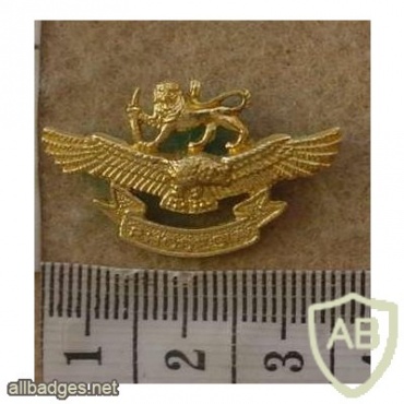 Rhodesia Air Force Women's cap badge img27133