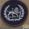 Rhodesian Air Force Warrant Officer Class II rank badge, round img27090