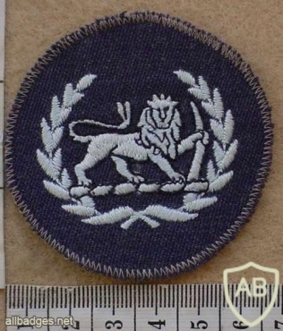 Rhodesian Air Force Warrant Officer Class II rank badge, round img27090