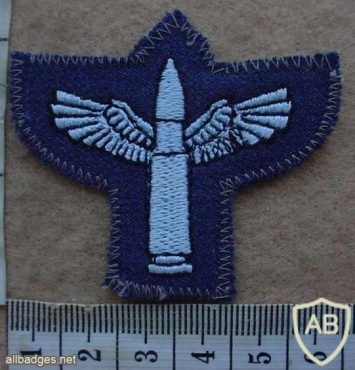 Rhodesian Air Force Air Gunner badge img27094