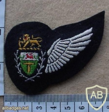 Rhodesian Air Force Air Crew wing img27107