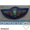 Rhodesian Airforce Pilot wings, Mess Dress1