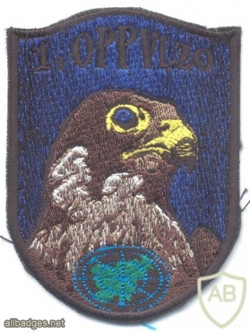 SLOVENIA Air Force 1st Aviation and Air Defense Operational Command sleeve patch, subdued img27084