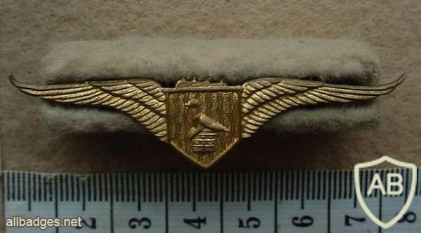 Rhodesian Central African Airways Pilot wings, leopard cut off top img27145