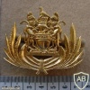 Rhodesian Customs & Immigration cap badge img27168