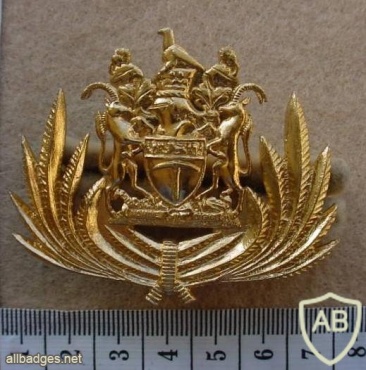 Rhodesian Customs & Immigration cap badge img27168